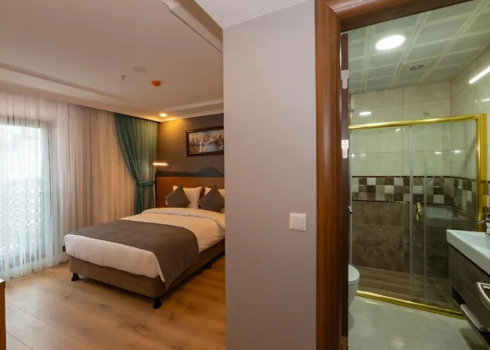 Hotel New Emin 3*